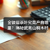金骏眉茶叶究竟产自哪里?揭秘武夷山桐木村的茶香密码(图4) 金骏眉茶叶究竟产自哪里?揭秘武夷山桐木村的茶香密码(图4)