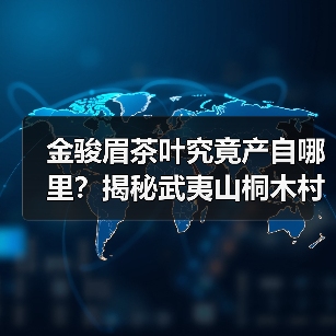 金骏眉茶叶究竟产自哪里?揭秘武夷山桐木村的茶香密码(图3) 金骏眉茶叶究竟产自哪里?揭秘武夷山桐木村的茶香密码(图3)