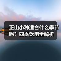 正山小种适合什么季节喝?四季饮用全解析(图1) 正山小种适合什么季节喝?四季饮用全解析(图1)
