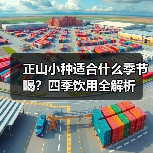 正山小种适合什么季节喝?四季饮用全解析(图2) 正山小种适合什么季节喝?四季饮用全解析(图2)