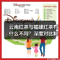 云南红茶与福建红茶有什么不同?深度对比解析(图1) 云南红茶与福建红茶有什么不同?深度对比解析(图1)