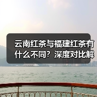 云南红茶与福建红茶有什么不同?深度对比解析(图4) 云南红茶与福建红茶有什么不同?深度对比解析(图4)