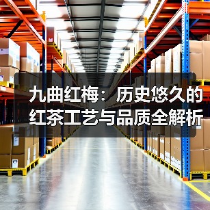九曲红梅:历史悠久的红茶工艺与品质全解析(图2) 九曲红梅:历史悠久的红茶工艺与品质全解析(图2)