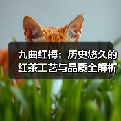 九曲红梅:历史悠久的红茶工艺与品质全解析(图4) 九曲红梅:历史悠久的红茶工艺与品质全解析(图4)