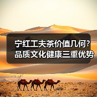 宁红工夫茶价值几何?品质文化健康三重优势解析(图3) 宁红工夫茶价值几何?品质文化健康三重优势解析(图3)