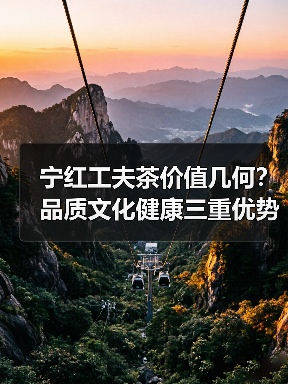 宁红工夫茶价值几何?品质文化健康三重优势解析(图4) 宁红工夫茶价值几何?品质文化健康三重优势解析(图4)