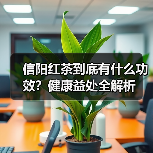 信阳红茶到底有什么功效?健康益处全解析(图4) 信阳红茶到底有什么功效?健康益处全解析(图4)