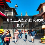 川红工夫红茶档次究竟如何?(图4) 川红工夫红茶档次究竟如何?(图4)