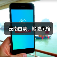 云南白茶,地域风格(图3) 云南白茶,地域风格(图3)