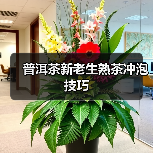 普洱茶新老生熟茶冲泡技巧(图1) 普洱茶新老生熟茶冲泡技巧(图1)