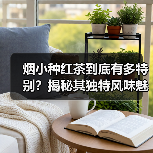 烟小种红茶到底有多特别？揭秘其独特风味魅力（图4）
