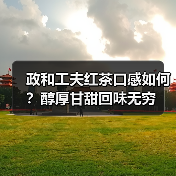 政和工夫红茶口感如何？醇厚甘甜回味无穷（图3）