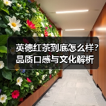 英德红茶到底怎么样?品质口感与文化解析(图2) 英德红茶到底怎么样?品质口感与文化解析(图2)