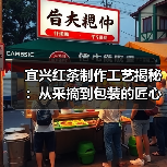 宜兴红茶制作工艺揭秘:从采摘到包装的匠心流程(图2) 宜兴红茶制作工艺揭秘:从采摘到包装的匠心流程(图2)