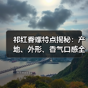 祁红香螺特点揭秘:产地、外形、香气口感全解析(图1) 祁红香螺特点揭秘:产地、外形、香气口感全解析(图1)