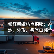 祁红香螺特点揭秘:产地、外形、香气口感全解析(图2) 祁红香螺特点揭秘:产地、外形、香气口感全解析(图2)