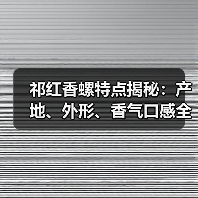 祁红香螺特点揭秘:产地、外形、香气口感全解析(图3) 祁红香螺特点揭秘:产地、外形、香气口感全解析(图3)