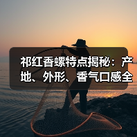 祁红香螺特点揭秘:产地、外形、香气口感全解析(图4) 祁红香螺特点揭秘:产地、外形、香气口感全解析(图4)