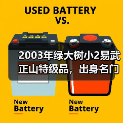 2003年绿大树小2易武正山特级品,出身名门,与绿大树大2并称双雄(图1) 2003年绿大树小2易武正山特级品,出身名门,与绿大树大2并称双雄(图1)