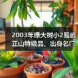 2003年绿大树小2易武正山特级品,出身名门,与绿大树大2并称双雄(图2) 2003年绿大树小2易武正山特级品,出身名门,与绿大树大2并称双雄(图2)