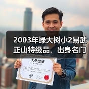 2003年绿大树小2易武正山特级品,出身名门,与绿大树大2并称双雄(图3) 2003年绿大树小2易武正山特级品,出身名门,与绿大树大2并称双雄(图3)