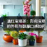 滇红宝塔茶:形似宝塔的外形与醇厚口感如何品鉴?(图2) 滇红宝塔茶:形似宝塔的外形与醇厚口感如何品鉴?(图2)