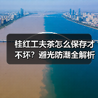 桂红工夫茶怎么保存才不坏?避光防潮全解析(图2) 桂红工夫茶怎么保存才不坏?避光防潮全解析(图2)