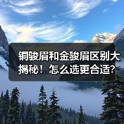铜骏眉和金骏眉区别大揭秘!怎么选更合适?(图1) 铜骏眉和金骏眉区别大揭秘!怎么选更合适?(图1)