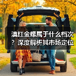 滇红金螺属于什么档次？深度解析其市场定位（图4）