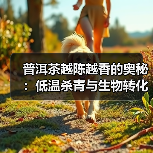 普洱茶越陈越香的奥秘:低温杀青与生物转化揭秘(图4) 普洱茶越陈越香的奥秘:低温杀青与生物转化揭秘(图4)