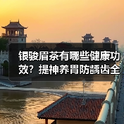 银骏眉茶有哪些健康功效?提神养胃防龋齿全解析(图1) 银骏眉茶有哪些健康功效?提神养胃防龋齿全解析(图1)