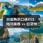 班章熟茶口感对比:99陆羽黑版 vs 白菜特二号谁更胜一筹?(图3) 班章熟茶口感对比:99陆羽黑版 vs 白菜特二号谁更胜一筹?(图3)