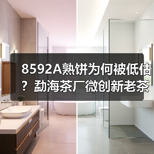 8592A熟饼为何被低估?勐海茶厂微创新老茶香揭秘(图3) 8592A熟饼为何被低估?勐海茶厂微创新老茶香揭秘(图3)