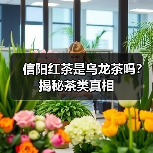 信阳红茶是乌龙茶吗?揭秘茶类真相(图3) 信阳红茶是乌龙茶吗?揭秘茶类真相(图3)