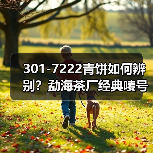 301-7222青饼如何辨别?勐海茶厂经典唛号茶品鉴(图3) 301-7222青饼如何辨别?勐海茶厂经典唛号茶品鉴(图3)