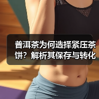 普洱茶为何选择紧压茶饼?解析其保存与转化优势(图1) 普洱茶为何选择紧压茶饼?解析其保存与转化优势(图1)