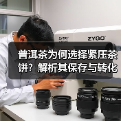 普洱茶为何选择紧压茶饼?解析其保存与转化优势(图2) 普洱茶为何选择紧压茶饼?解析其保存与转化优势(图2)