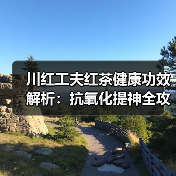 川红工夫红茶健康功效解析:抗氧化提神全攻略(图2) 川红工夫红茶健康功效解析:抗氧化提神全攻略(图2)