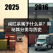闽红茶属于什么茶?揭秘其分类与历史(图3) 闽红茶属于什么茶?揭秘其分类与历史(图3)