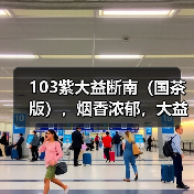 103紫大益断南(国茶版),烟香浓郁,大益中期茶经典之作(图4) 103紫大益断南(国茶版),烟香浓郁,大益中期茶经典之作(图4)