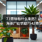 73青饼有什么来历？勐海茶厂较早期7542青饼代表（图2）
