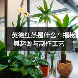 英德红茶是什么?揭秘其起源与制作工艺(图4) 英德红茶是什么?揭秘其起源与制作工艺(图4)
