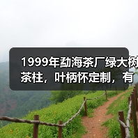 1999年勐海茶厂绿大树茶柱,叶柄怀定制,有品质的大厂普洱茶(图4) 1999年勐海茶厂绿大树茶柱,叶柄怀定制,有品质的大厂普洱茶(图4)
