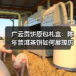 广云贡饼原包礼盒：陈年普洱茶饼如何展现历史韵味？（图3）