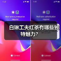 白琳工夫红茶有哪些独特魅力?(图2) 白琳工夫红茶有哪些独特魅力?(图2)