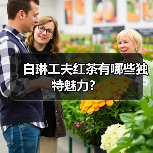 白琳工夫红茶有哪些独特魅力?(图3) 白琳工夫红茶有哪些独特魅力?(图3)