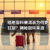 粗老原料普洱茶为何更甘甜?揭秘甜味来源(图2) 粗老原料普洱茶为何更甘甜?揭秘甜味来源(图2)