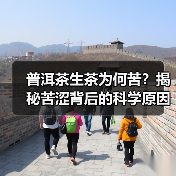 普洱茶生茶为何苦？揭秘苦涩背后的科学原因（图3）