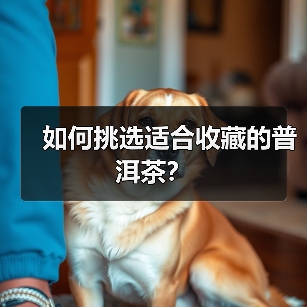 如何挑选适合收藏的普洱茶?(图3) 如何挑选适合收藏的普洱茶?(图3)
