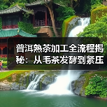 普洱熟茶加工全流程揭秘:从毛茶发酵到紧压成型的关键步骤(图1) 普洱熟茶加工全流程揭秘:从毛茶发酵到紧压成型的关键步骤(图1)